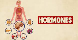 HORMONE